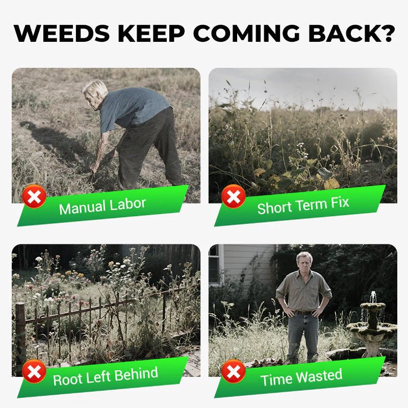 Cyclosinone Herbicide Granules - Weed Killer for Lawns & Gardens I 🔥Buy 1 Get 1 Free🔥